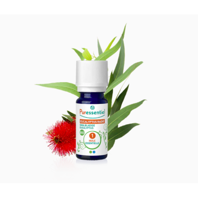 Huile Essentielle Eucalyptus Radié BIO 10ml Puressentiel