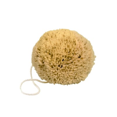 Eponge Naturelle de Méditerranée Savonnerie Fer à Cheval