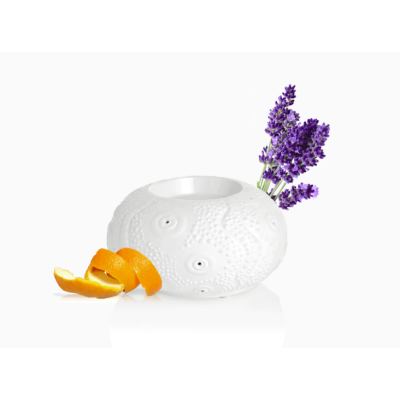 Diffuseur à Chaleur Douce CALVI Puressentiel