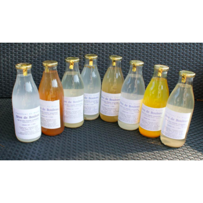 Sève de Bouleau Stabilisée Citron 1L Cueilleur du Bugey