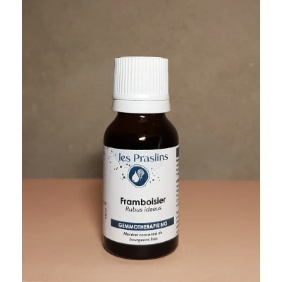 Macérat de Framboisier Bio Gemmothérapie Les Praslins