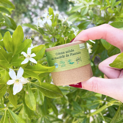 Crème Solide Bio au Macérât de Plantain (Anti démangeaison) - Version 2 Comme Avant