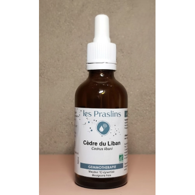 Macérat de Bourgeon Cèdre Bio Gemmothérapie Les Praslins