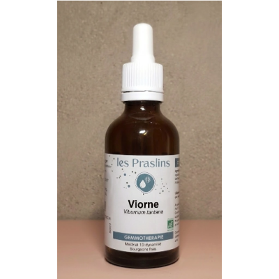 Macérat de Bourgeon Viorne Bio Gemmothérapie Les Praslins