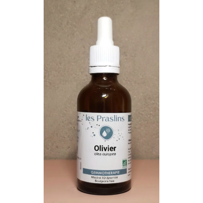 Macérat de Bourgeon d'Olivier Bio Gemmothérapie Les Praslins